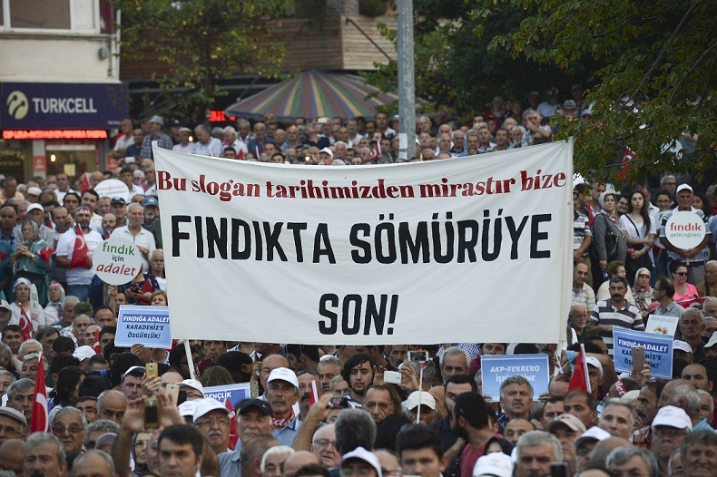 Fındık sorununun çözümü için 6 madde!