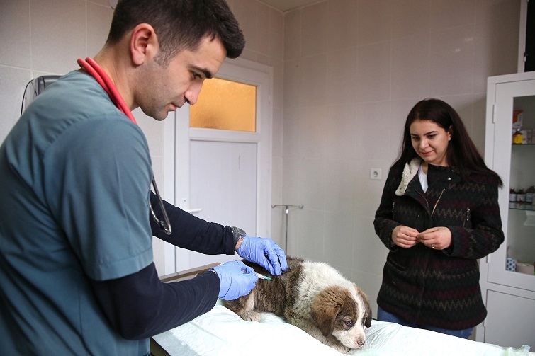 Sokak Hayvanlarına yüzde yüz destek