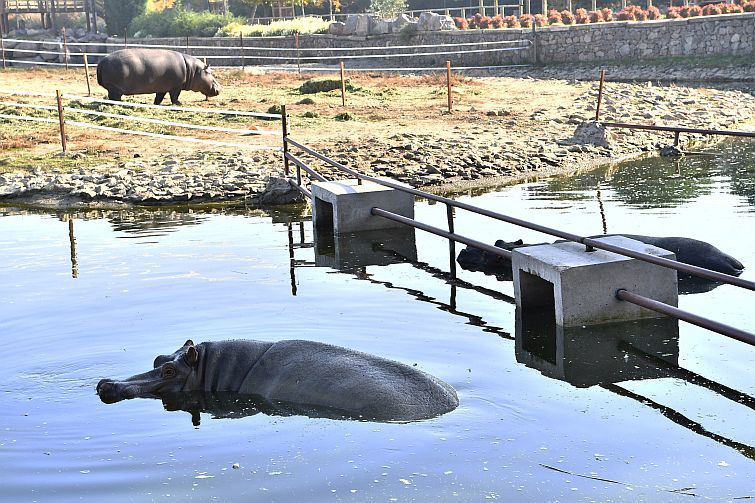 Ağır abiler ziyaretçilerin gözdesi oldu