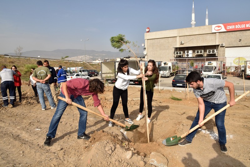 Bornova yeşilleniyor