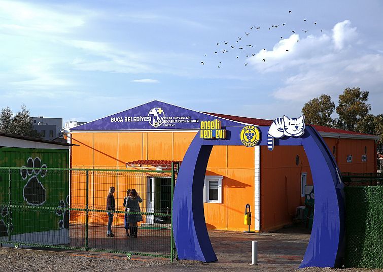 Buca’da sokak hayvanları güvenli ellerde