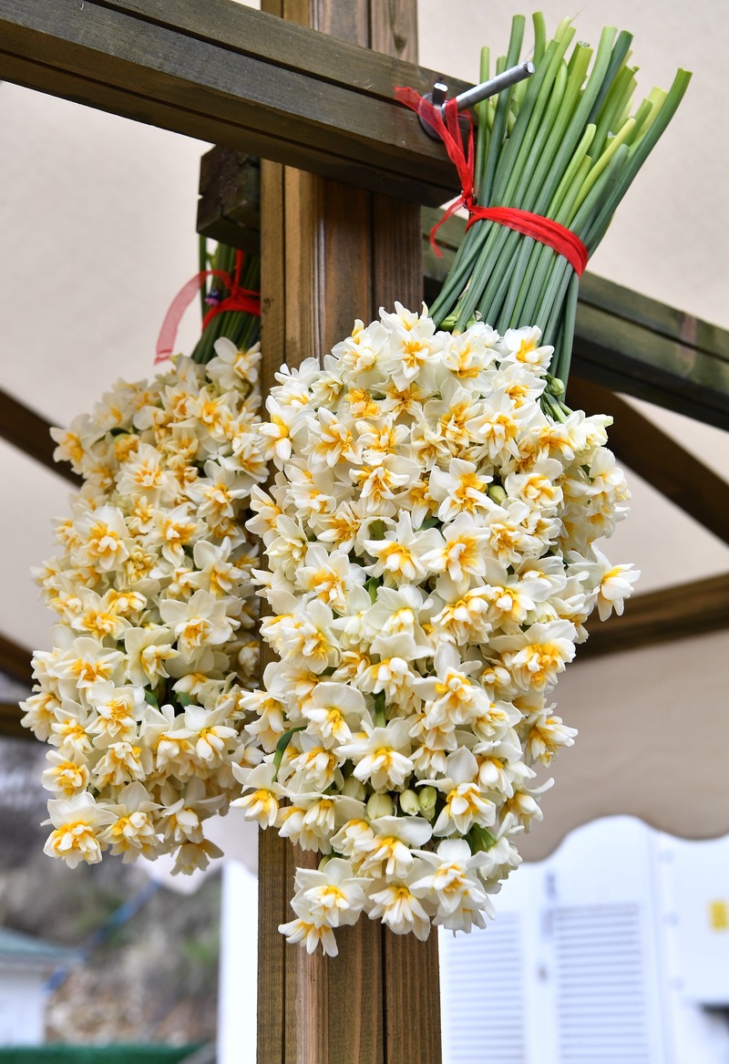 Şimdi Karaburun zamanı