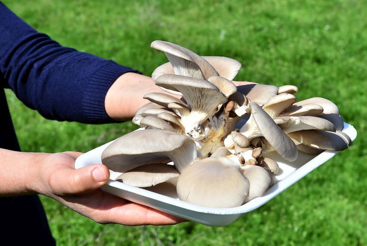 Başkan Kocaoğlu'ndan sevindiren ziyaret
