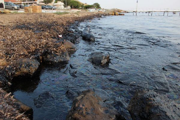 Foça'daki felaket TBMM gündeminde!
