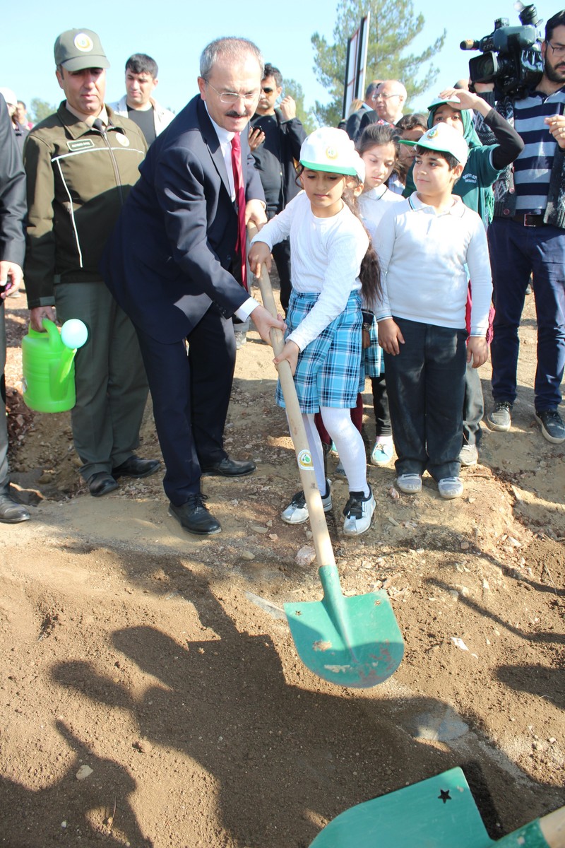 İzmir’de de 'fidanlar fidanlarla büyüyecek'