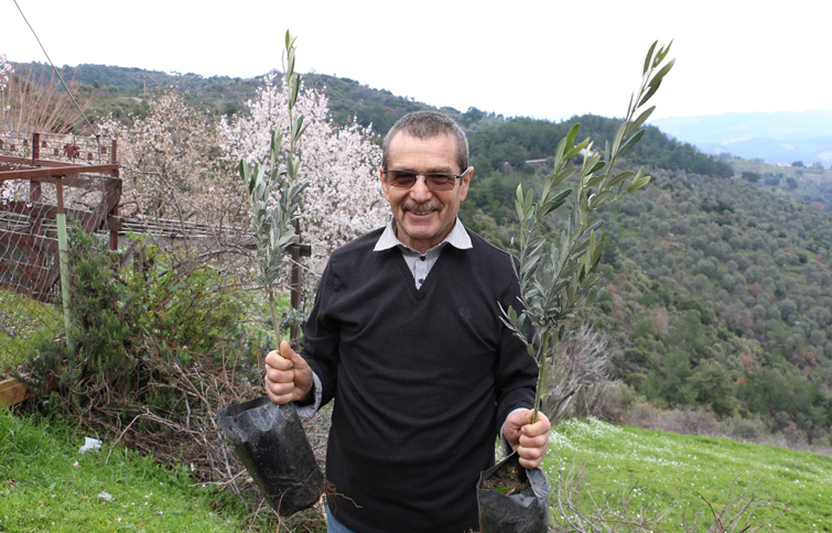 1 ayda 500 bin fidan daha