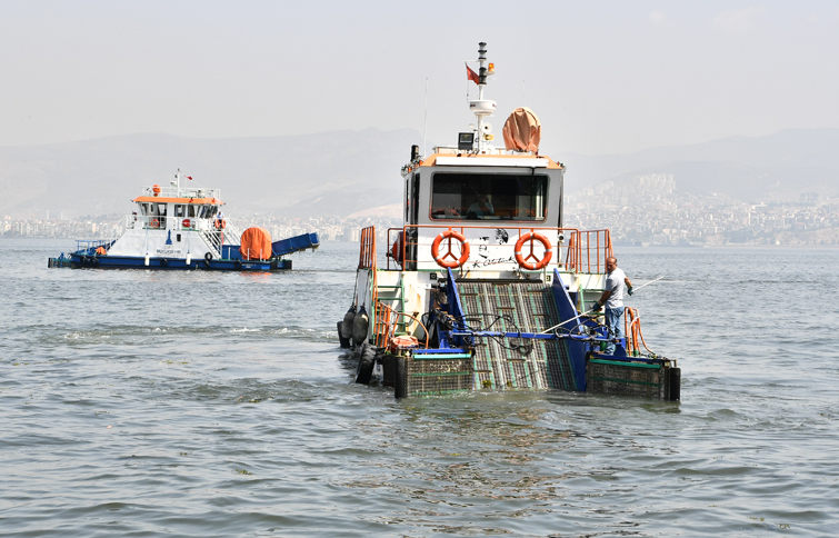 Körfez’de sevindiren rakamlar