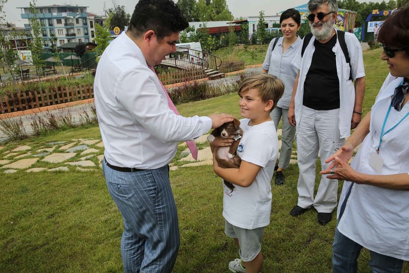 Buca'da can dostu kampanya: Satın alma sahiplen!