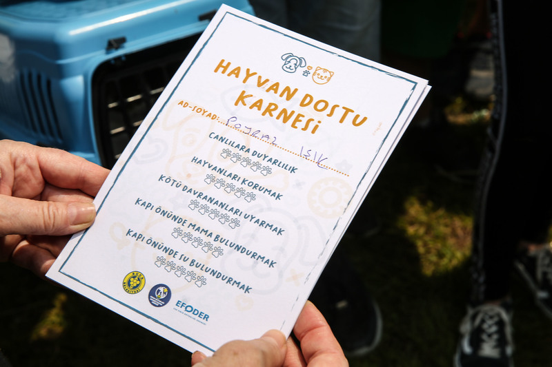 Buca'da can dostu kampanya: Satın alma sahiplen!