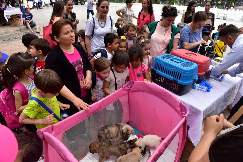 Bornovalılar Çevre Şenliği’nde buluştu