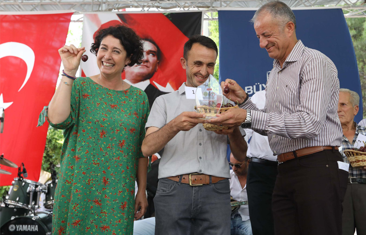 Belenbaşı'nda 14. Kiraz Şöleni