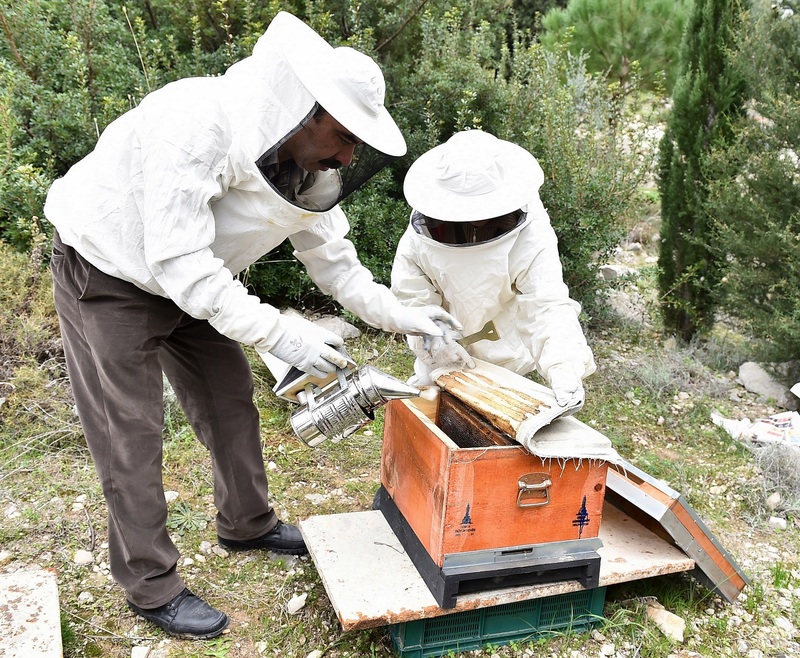 Arıcılık “Büyükşehir” desteği ile yaygınlaşıyor