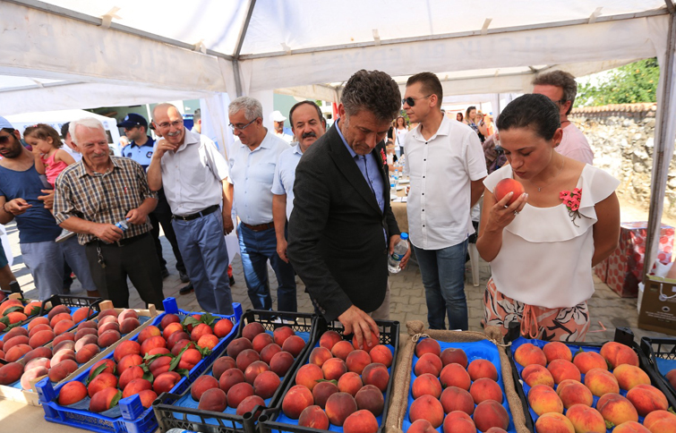 Selçuk Efes şeftali ile şenlendi