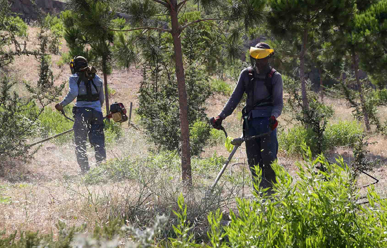 Karşıyaka Belediyesi’nden yangına karşı önlem!