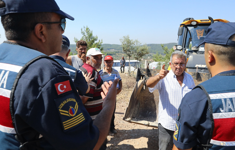 Fırsatçılar 40 dönümü yok etti