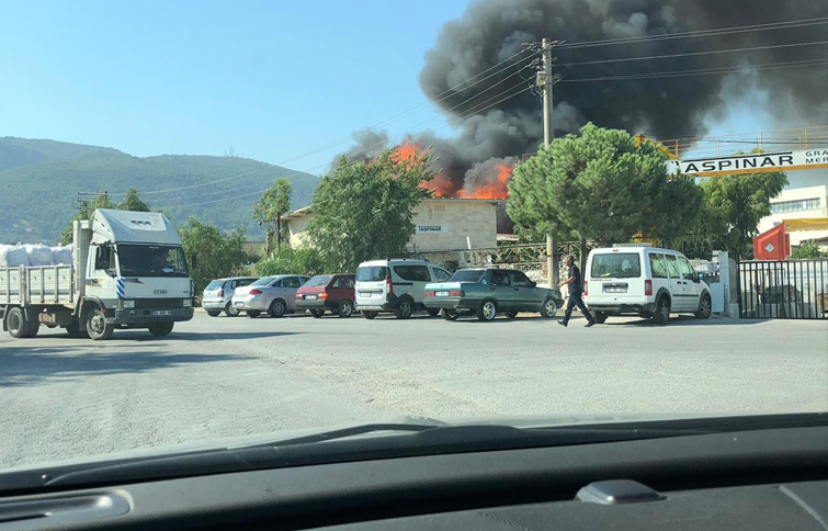 İzmir'de palet fabrikasında büyük yangın