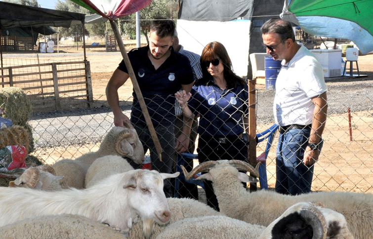 Menderes’te Kurban Denetimi