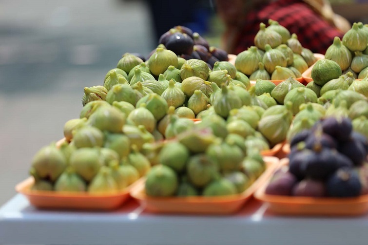 Güzelbahçe'de ' 7. Payamlı Bardacık Festivali' Başlıyor