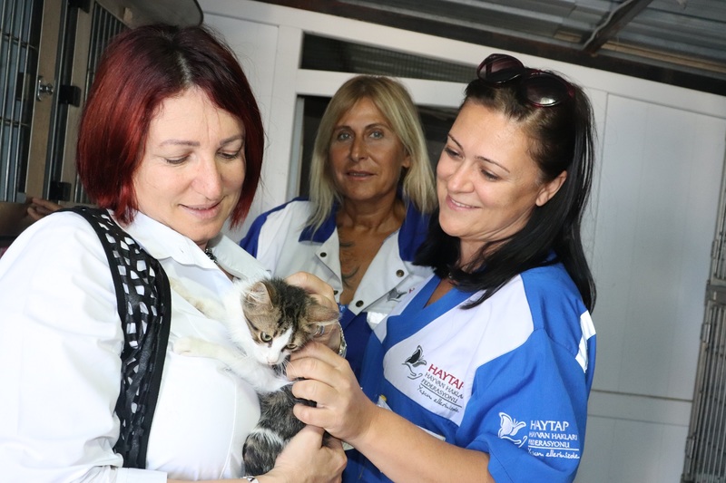 Karaburun’da havai fişek yok, kuşlar artık daha özgür