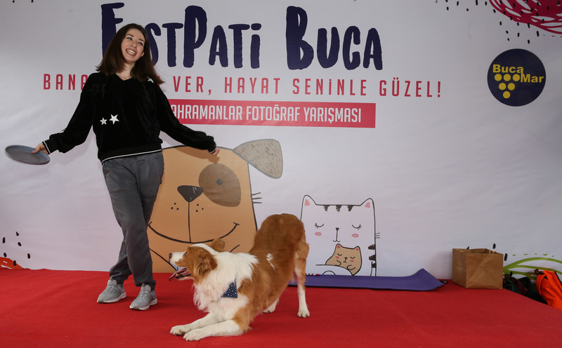 Sevginin festivali: FestPati