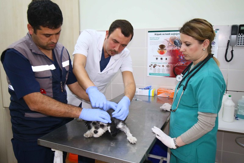 Can dostlar Bayraklı'da güvende