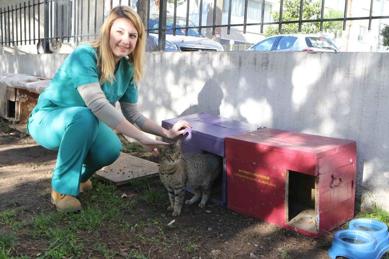 Can dostlar Bayraklı'da güvende