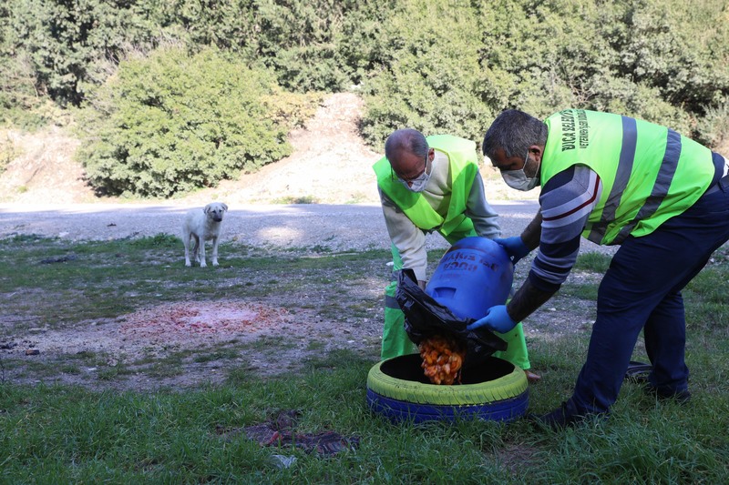 Buca Belediyesi kırsaldaki can dostlarına kucak açtı