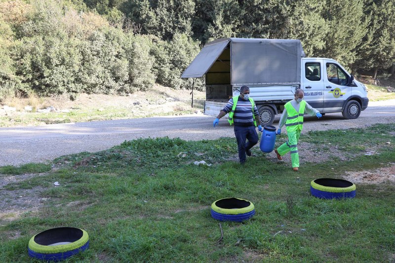 Buca Belediyesi kırsaldaki can dostlarına kucak açtı