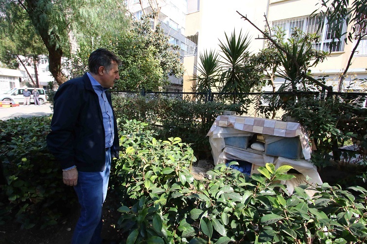 Bayraklı'da kedi evleri yenilendi