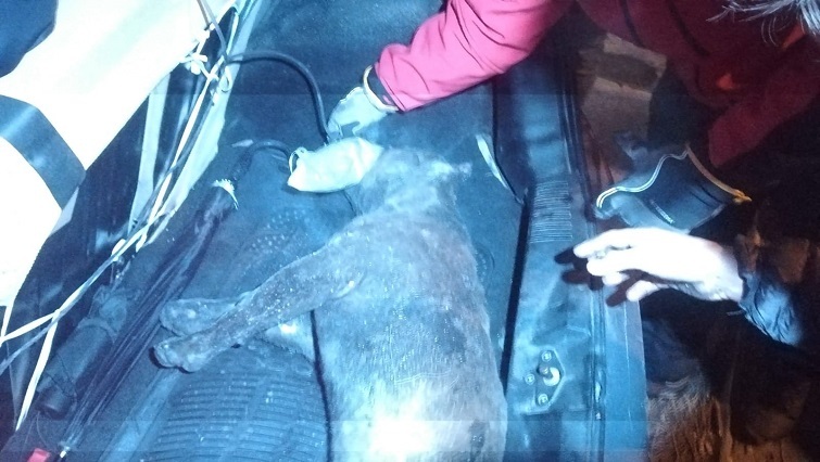 İzmir’de oto tamir atölyesinde korkutan yangın