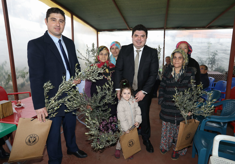 Buca’nın akciğerlerine 1800 zeytin fidanı