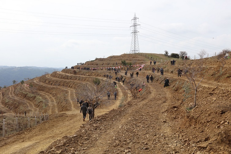 Kampanyanın İlk Fidanları Toprakla Buluştu