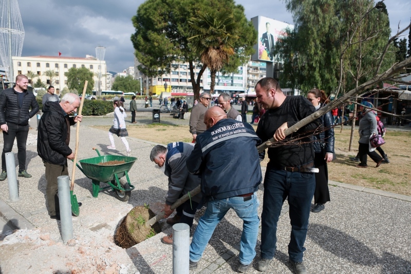 Bornova sokakları ıhlamur kokacak