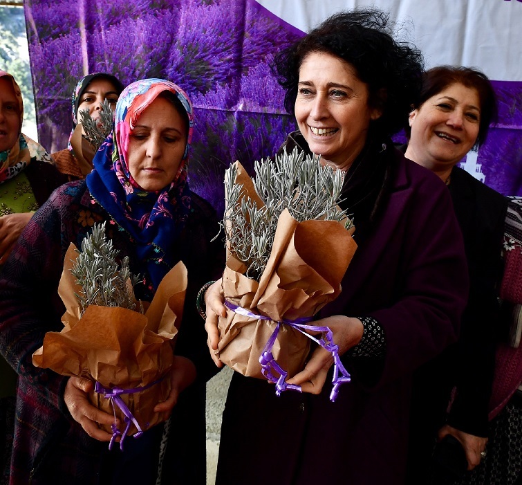 Büyükşehir 5 bin lavanta fidesi dağıttı