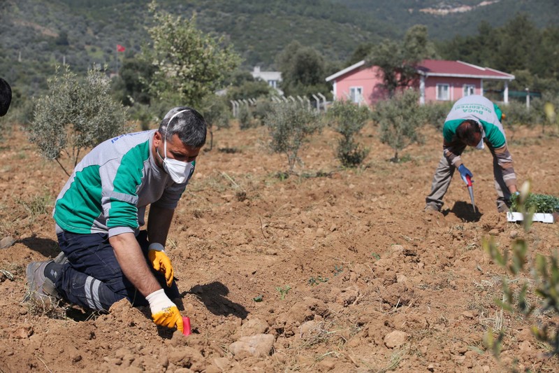Başkan Kılıç 16 dönümlük   “destek” bostanı kurdu