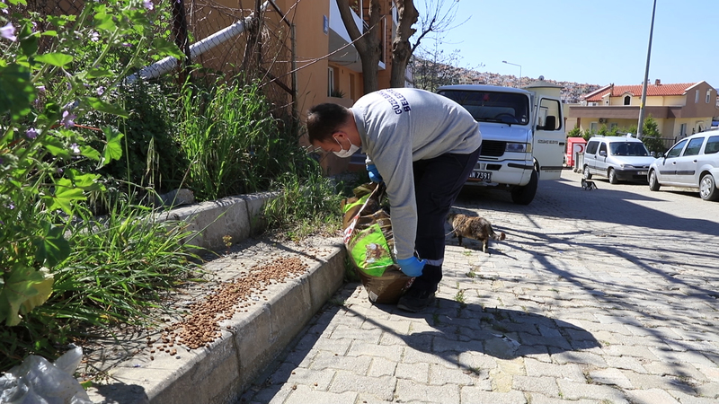 Güzelbahçe Belediyesi can dostları unutmadı