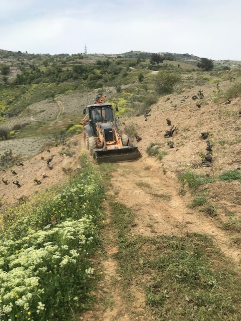 Karabağlar Belediyesi üreticinin de yanında