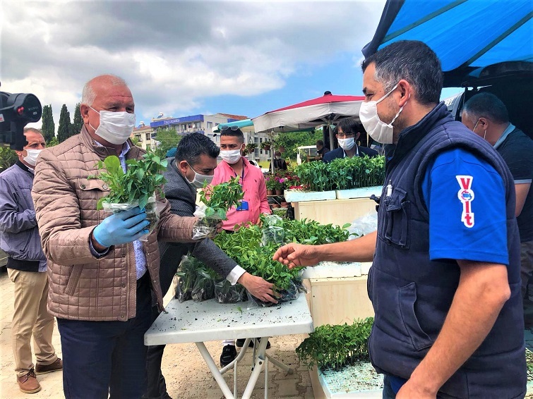 Kemalpaşa Belediyesi’nden vatandaşa 30 bin fide desteği