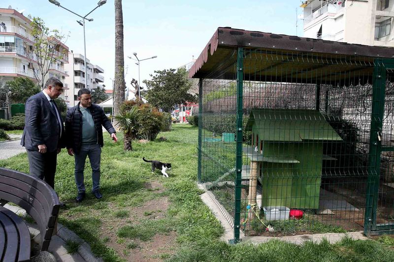Hayvan dostu hizmetlere 'teşekkür' plaketi