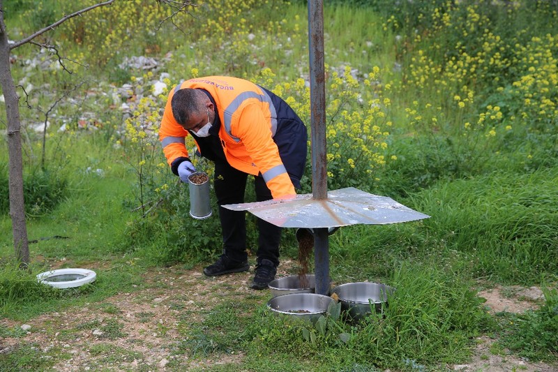 Sokak hayvanlarına bayramda mama desteği