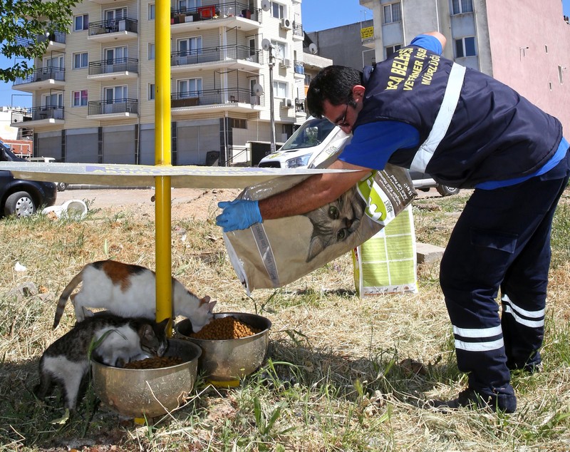 Sokak hayvanlarına bayramda mama desteği