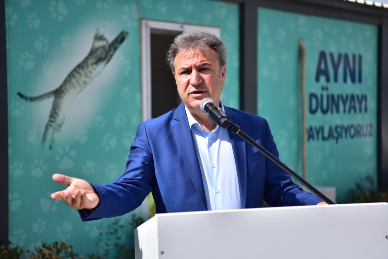 Can dostlara modern yuva