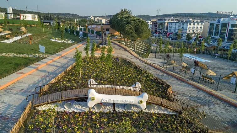 Buca Belediyesi 1 yılda 8 bin hayvana kucak açtı