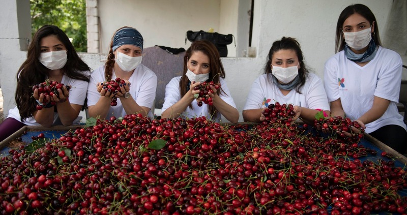 Gönülleri fethettiler