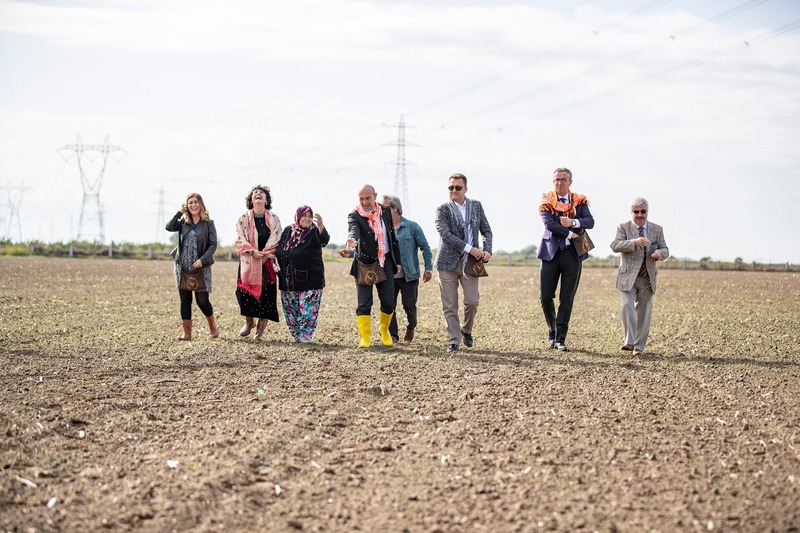 Başkan Soyer elleriyle serptiği karakılçık buğdayının hasadını yaptı