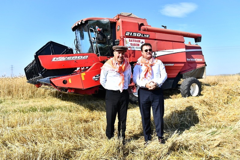 Başkan Soyer elleriyle serptiği karakılçık buğdayının hasadını yaptı