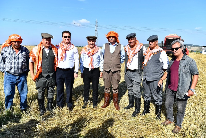 Başkan Soyer elleriyle serptiği karakılçık buğdayının hasadını yaptı