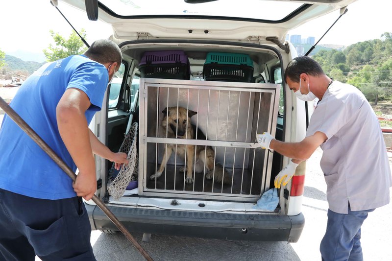 Bayraklı, Karşıyaka ve HAYTAP'tan ortak çalışma