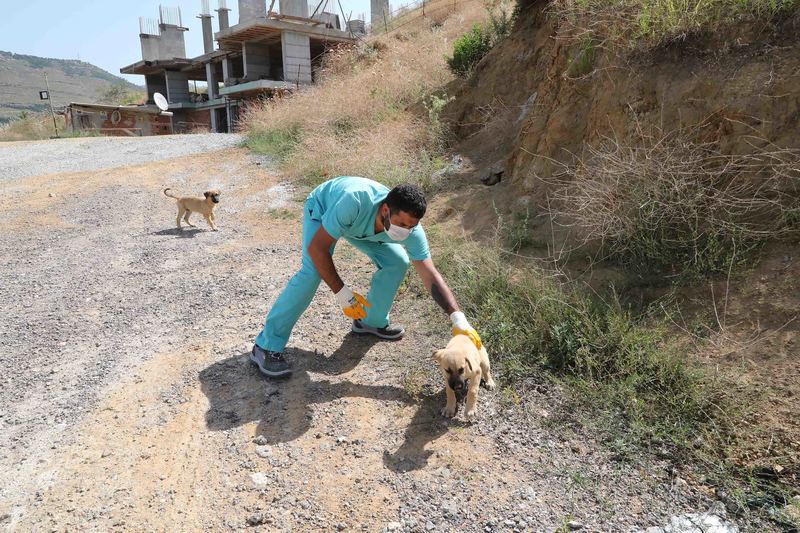 Bayraklı, Karşıyaka ve HAYTAP'tan ortak çalışma