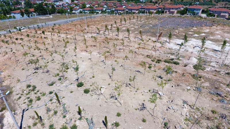 Bulgurca’ya yeni orman alanı